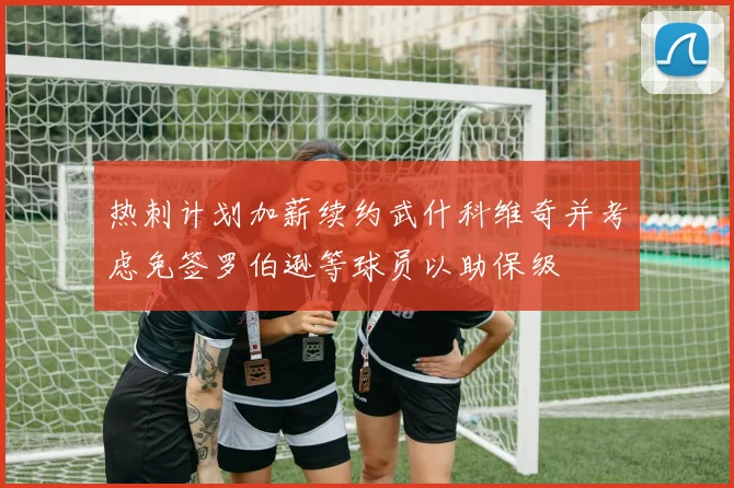 热刺计划加薪续约武什科维奇并考虑免签罗伯逊等球员以助保级