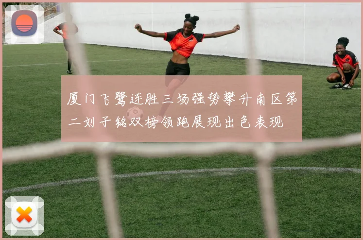 厦门飞鹭连胜三场强势攀升南区第二刘子铭双榜领跑展现出色表现